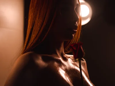 Profile preview